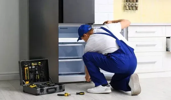 Service Freezer & Showcase